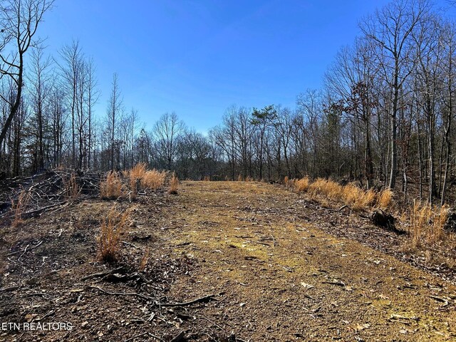 3211 N Hunter Bend Rd, Decatur, TN 37322 - photo 46