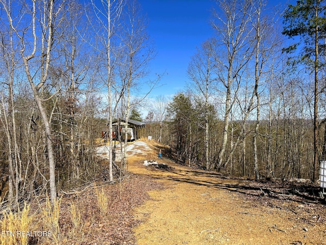 3211 N Hunter Bend Rd, Decatur, TN 37322 - photo 47