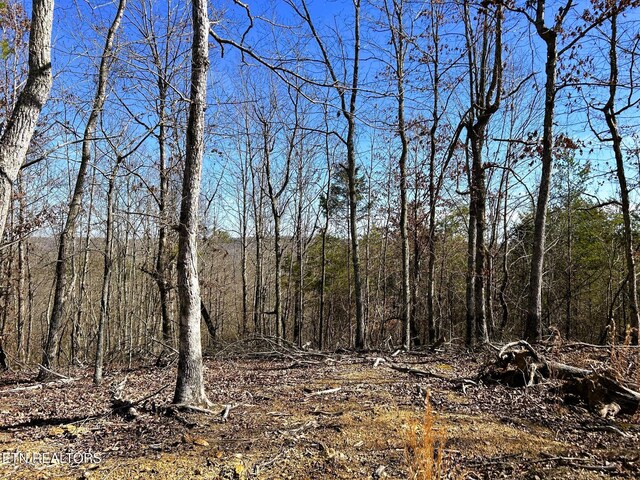 3211 N Hunter Bend Rd, Decatur, TN 37322 - photo 48