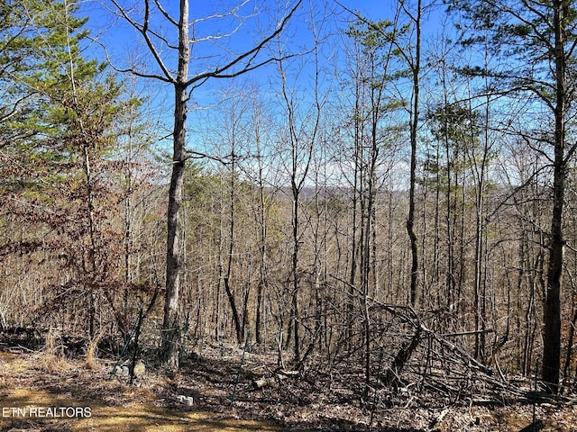 3211 N Hunter Bend Rd, Decatur, TN 37322 - photo 49