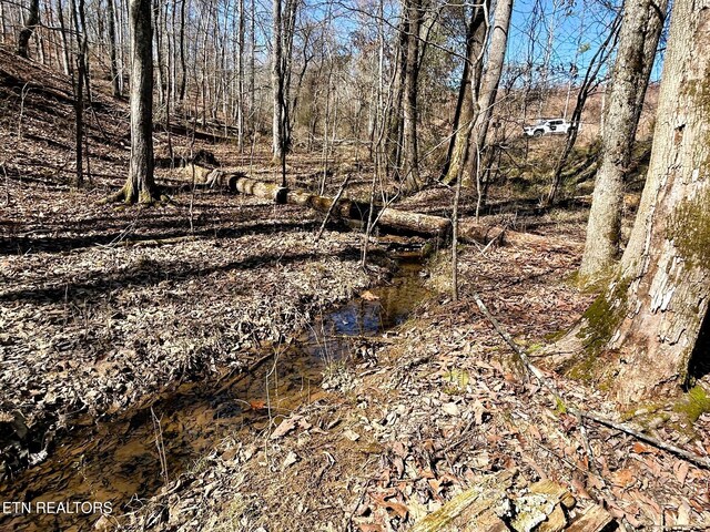 3211 N Hunter Bend Rd, Decatur, TN 37322 - photo 50