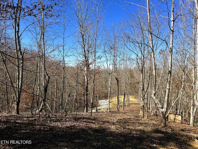 3211 N Hunter Bend Rd, Decatur, TN 37322 - photo 52