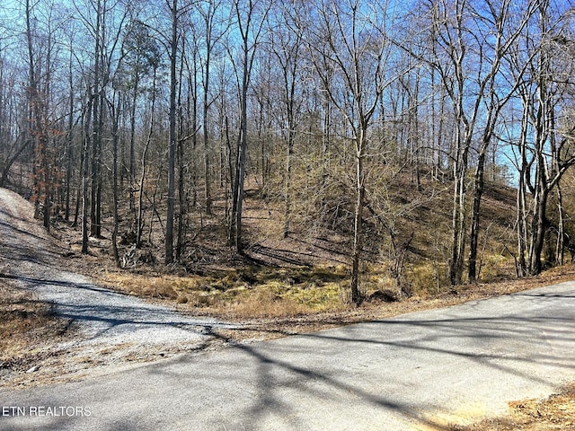 3211 N Hunter Bend Rd, Decatur, TN 37322 - photo 3