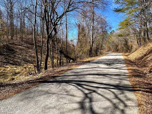 3211 N Hunter Bend Rd, Decatur, TN 37322 - photo 53