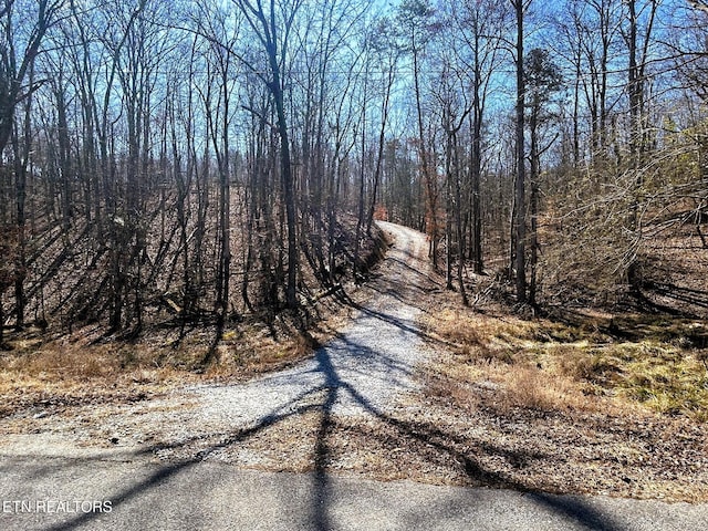 3211 N Hunter Bend Rd, Decatur, TN 37322 - photo 2
