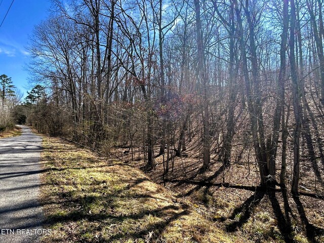 3211 N Hunter Bend Rd, Decatur, TN 37322 - photo 54
