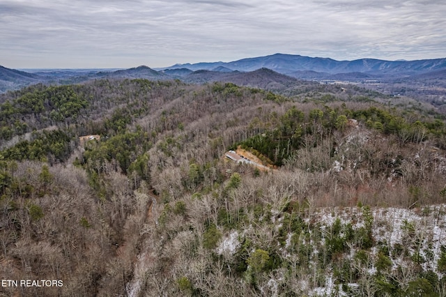 view of mountain feature featuring a forest view