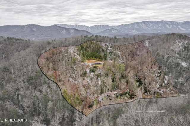 drone / aerial view featuring a mountain view