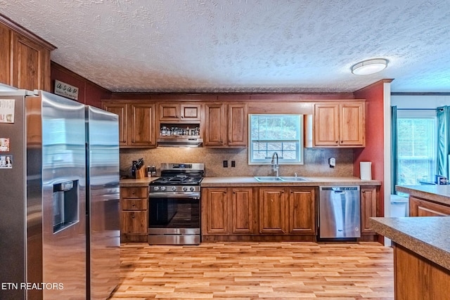 kitchen featuring appliances with stainless steel finishes, a wealth of natural light, a sink, and light wood-style flooring