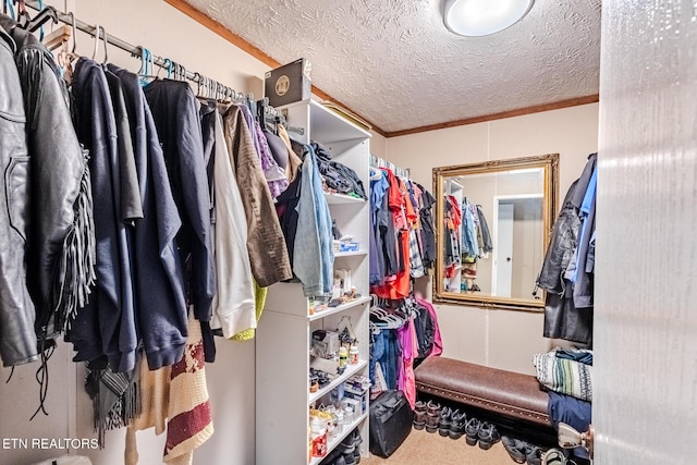 spacious closet with carpet