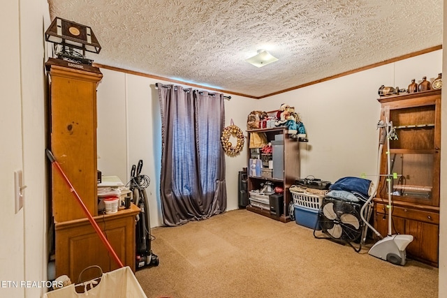 office featuring a textured ceiling, crown molding, and carpet flooring