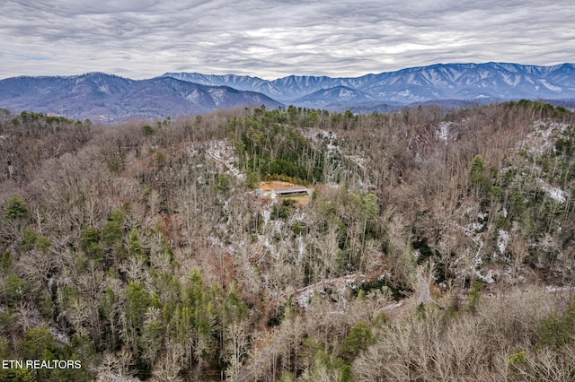 view of mountain feature featuring a forest view