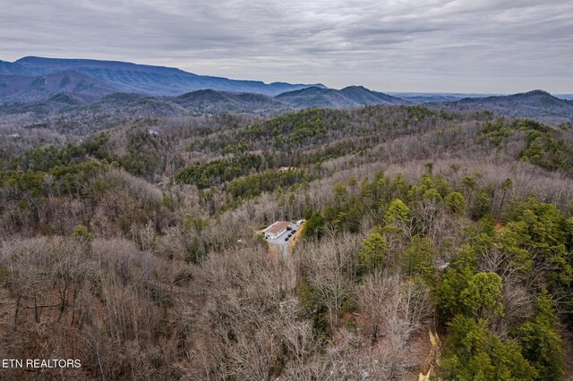 bird's eye view with a mountain view and a forest view