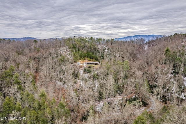 property view of mountains with a view of trees