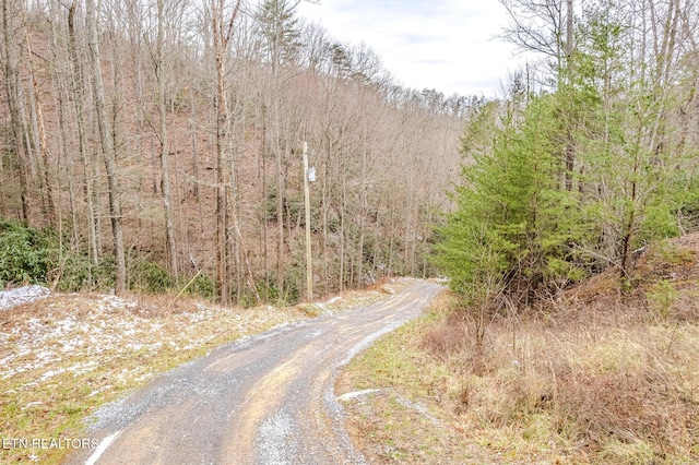 view of road featuring a view of trees