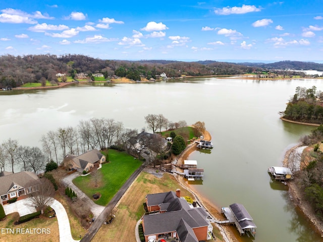 drone / aerial view with a water view