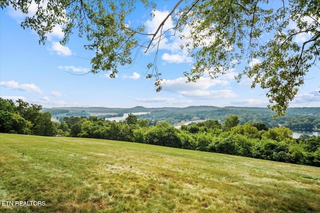 mountain view with a wooded view