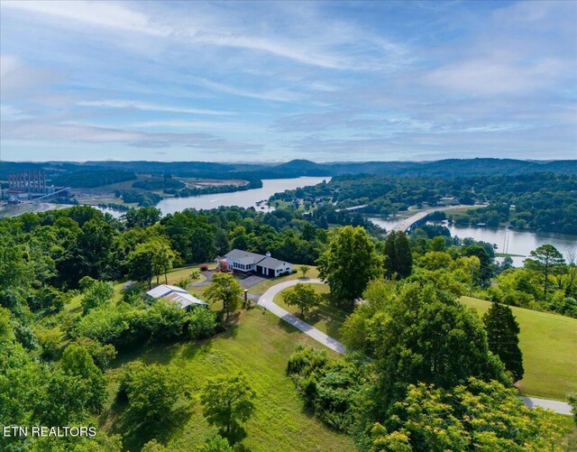 bird's eye view featuring a water view and a view of trees