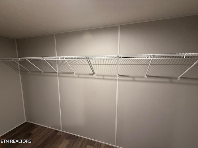 spacious closet featuring dark wood-style floors