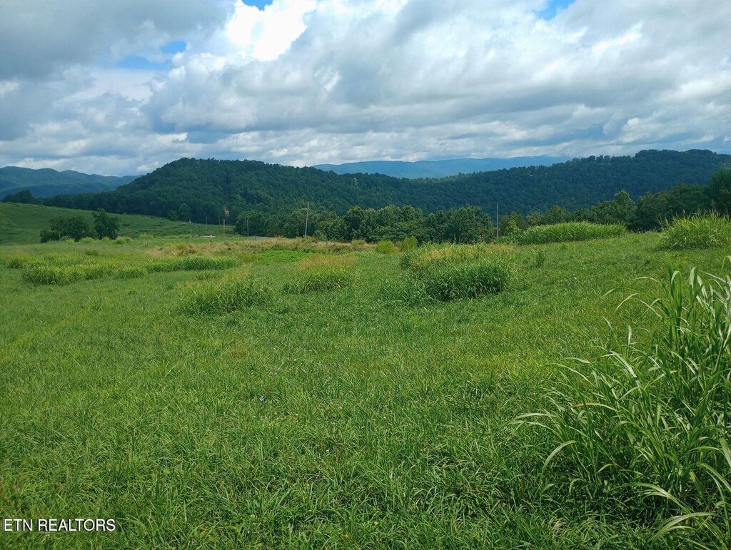 King Bend Rd, Cumberland Gap, TN 37724