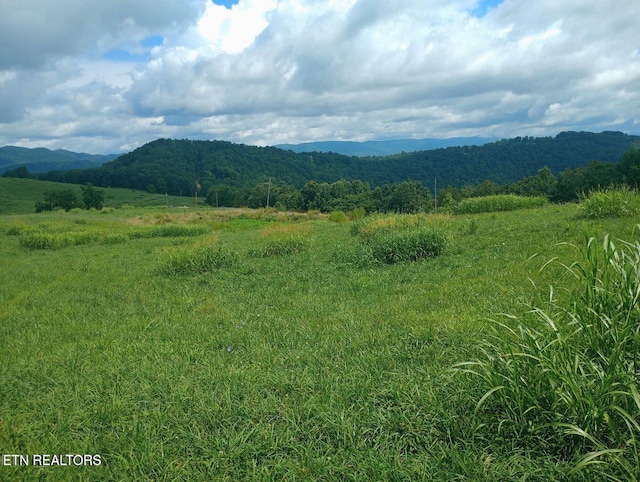 King Bend Rd, Cumberland Gap, TN 37724