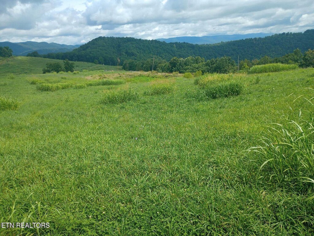 King Bend Rd, Cumberland Gap, TN 37724