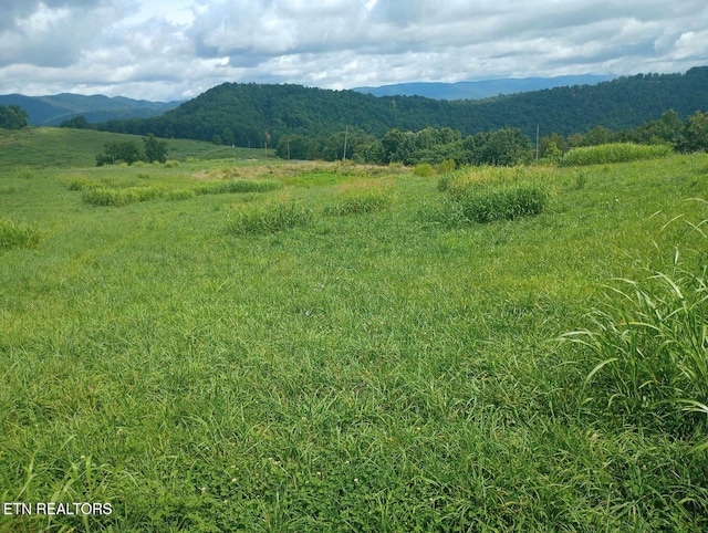 King Bend Rd, Cumberland Gap, TN 37724