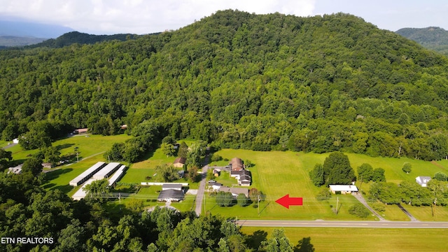 drone / aerial view featuring a mountain view and a forest view