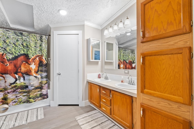 bathroom featuring a textured ceiling, ornamental molding, a sink, and wood finished floors