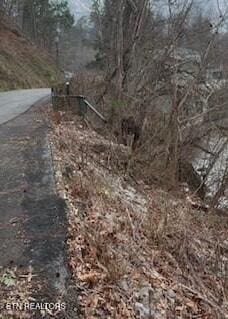 Sleepy Hollow Rd, Gatlinburg, TN 37738