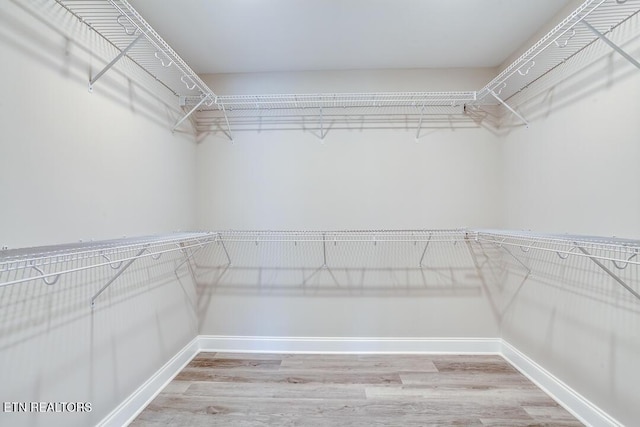 spacious closet featuring light wood-type flooring