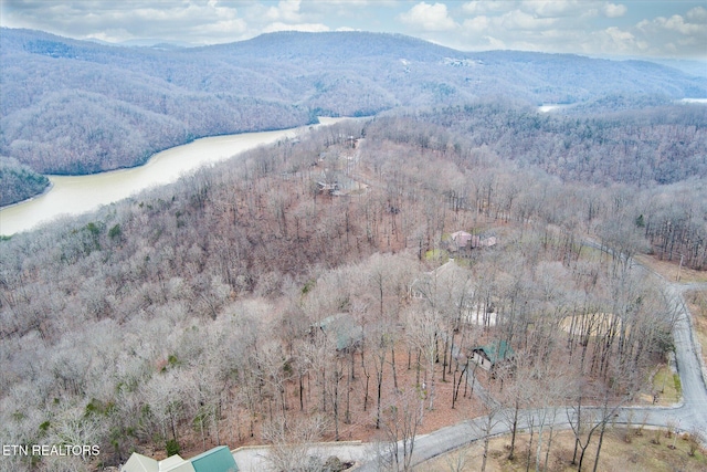 birds eye view of property with a water and mountain view