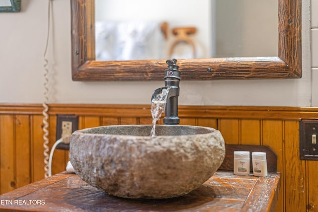 room details featuring a sink and wainscoting