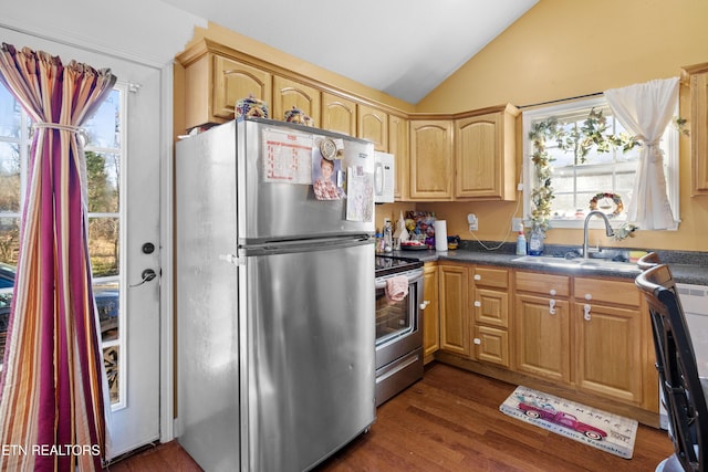 kitchen with stainless steel appliances, lofted ceiling, dark countertops, dark wood-type flooring, and a sink