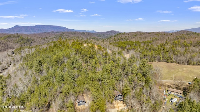 property view of mountains with a wooded view