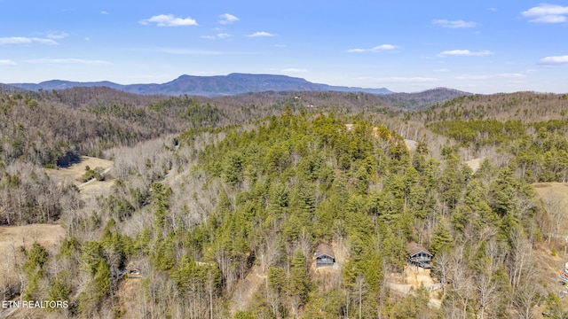 property view of mountains featuring a wooded view