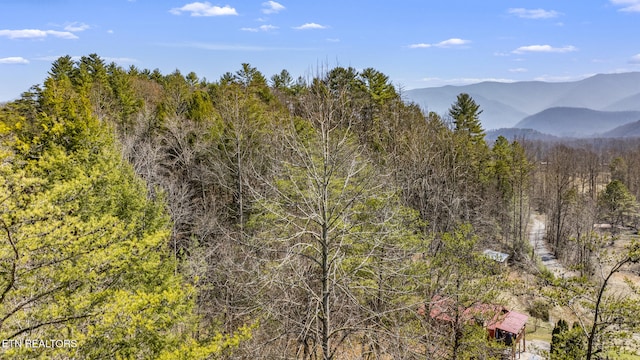 mountain view with a forest view