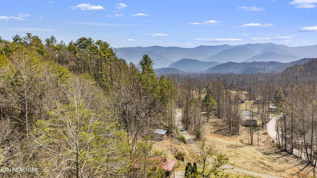 mountain view featuring a wooded view