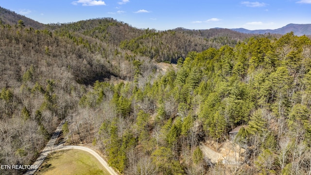 mountain view featuring a wooded view