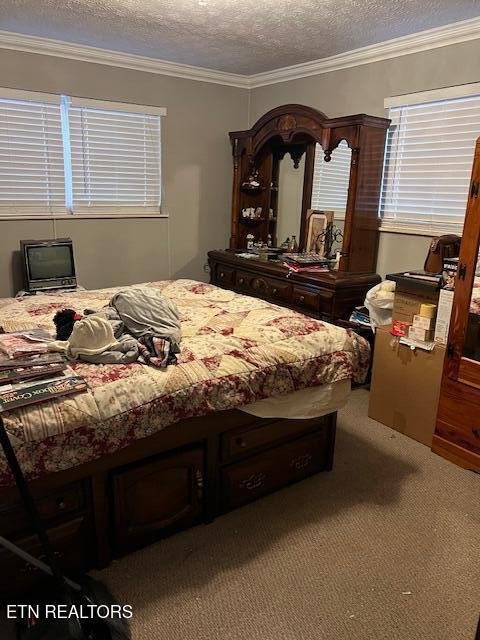 bedroom featuring crown molding, a textured ceiling, and carpet flooring