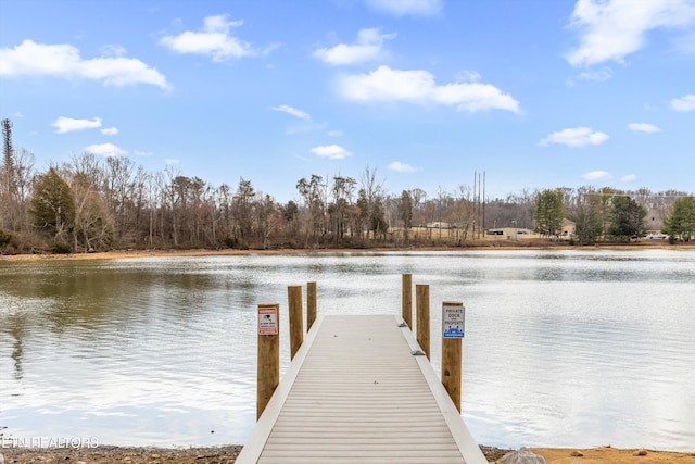 dock area featuring a water view