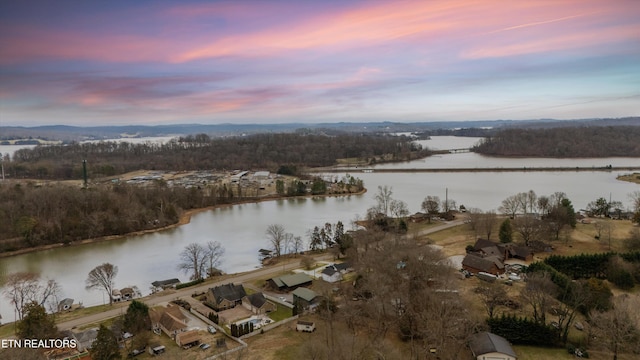 birds eye view of property featuring a view of trees and a water view