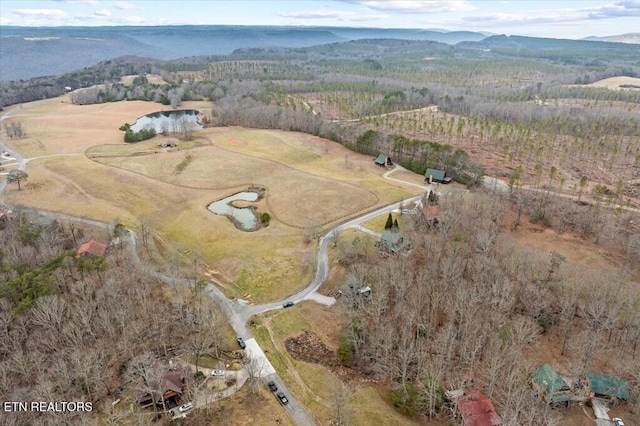 drone / aerial view featuring a mountain view