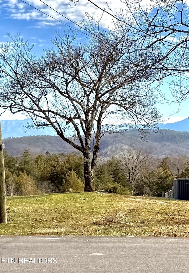 view of mountain feature