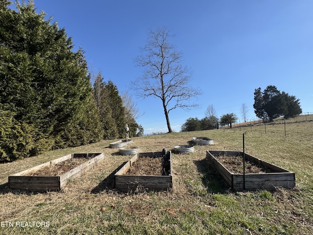 view of yard with a vegetable garden