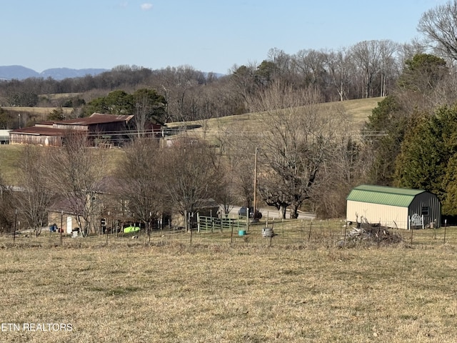 view of yard featuring a mountain view, an outbuilding, and a rural view