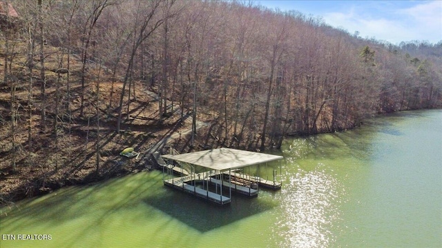 dock area with a water view, boat lift, and a view of trees