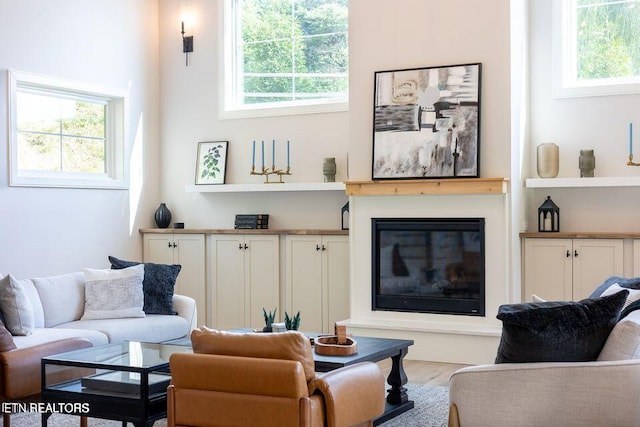 living area with a glass covered fireplace, a healthy amount of sunlight, and wood finished floors