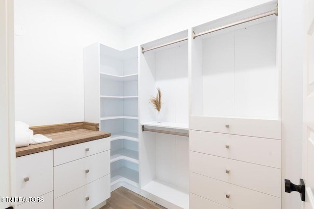 walk in closet with light wood-style flooring