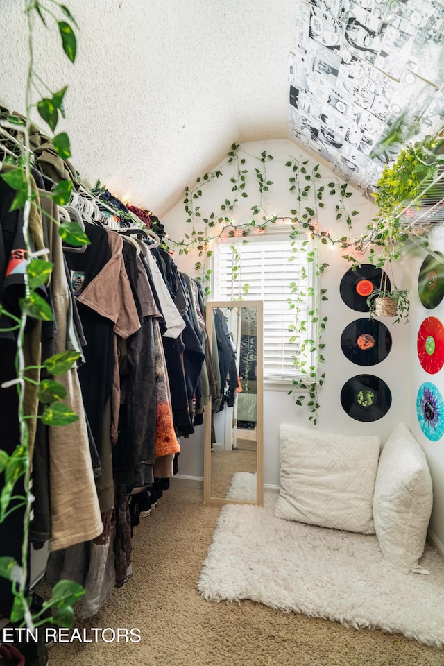 spacious closet featuring lofted ceiling and carpet floors